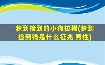 梦到捡到的小狗拉稀(梦到捡到钱是什么征兆 男性)